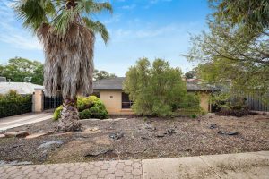 16 Landy Avenue, Gulfview Heights, SA 5096 Australia